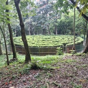 Meet your Posher, Jc5